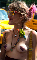 DSC_0097.jpg